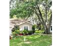 Charming single-story home featuring lush landscaping, mature trees, and a well-maintained lawn at 35226 Janine Dr, Zephyrhills, FL 33541