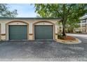 Two-car garage with green doors and landscaped area at 17104 Carrington Park Dr # 528, Tampa, FL 33647