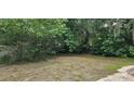 Overgrown backyard with a partially visible pool at 4375 Lindsey Loop, Dover, FL 33527