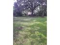 Expansive grassy backyard with mature trees providing shade at 5023 6Th St, Zephyrhills, FL 33542