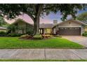 House exterior with a large tree in the front yard and a brown garage door at 4302 Deepwater Ln, Tampa, FL 33615