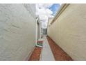 Side yard with a concrete pathway between two buildings at 4509 Tidal Pond Rd, New Port Richey, FL 34652