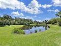 Picturesque pond with lush vegetation, creating a peaceful backyard setting at 19334 Autumn Woods Ave, Tampa, FL 33647