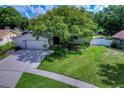 Beautiful house exterior with a large tree and well-maintained lawn at 4008 Greenmark Ln, Valrico, FL 33596