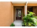 Welcoming front entry with a charming door at 17032 Vilesta Dr, Lutz, FL 33548