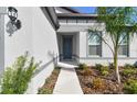 Front entrance with walkway and tropical landscaping at 2996 Forest Meadow Ave, Valrico, FL 33594