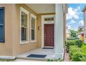Townhome entrance with a dark brown door and sidelights at 11329 Emerson Lake Dr, Riverview, FL 33578