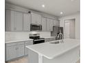 Modern kitchen with gray cabinets, quartz countertops and stainless steel appliances at 6161 Timberdale Ave, Wesley Chapel, FL 33545