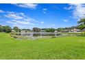 Scenic view of a lake with lush green grass and homes in the background at 9506 Pebble Glen Ave, Tampa, FL 33647
