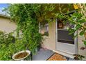 Front door entrance with lush greenery and a birdbath at 1240 Chelsea Ln, Holiday, FL 34691