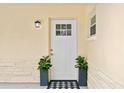 White front door with sidelights, flanked by potted plants at 8716 Elmwood Ln, Tampa, FL 33615