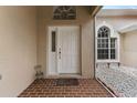 Inviting front entrance with a white door and a brick walkway at 19148 Dove Creek Dr, Tampa, FL 33647