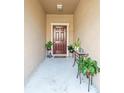 Inviting entryway with potted plants and a wooden door at 8491 Essington St, New Port Richey, FL 34654