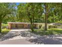 Ranch style home nestled amongst lush greenery, offering curb appeal at 1213 E Frierson Ave, Tampa, FL 33603