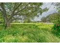 Vacant lot with mature trees and grassy area at 10912 672 Hwy, Riverview, FL 33579