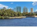 Riverfront view of Tampa skyline showcasing modern high-rises and lush greenery at 815 W Braddock St, Tampa, FL 33603