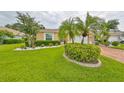 Landscaped front yard with lush lawn, palm trees, and well-manicured bushes at 736 Mccallister Ave, Sun City Center, FL 33573