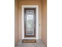 Modern front door with glass panels and a welcome mat at 12818 Boggy Creek Dr, Riverview, FL 33579