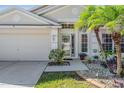 House exterior with palm trees and landscaping at 11314 Misty Isle Ln, Riverview, FL 33579