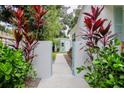 Landscaped side yard with a gate and lush plants, providing privacy and charm at 1411 E Powhatan Ave, Tampa, FL 33604