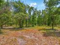 Expansive parcel featuring mature trees, offering privacy and natural beauty for a custom home or development at 0 Castlewood Rd # Lot 3, Seffner, FL 33584