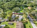 Aerial view of property, showing lot size and location at 12501 Holyoke Ave, Tampa, FL 33624
