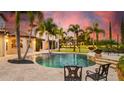 Backyard view of a luxury swimming pool with lush palm trees and stone accents at sunset at 10603 Low Oak Ter, Thonotosassa, FL 33592