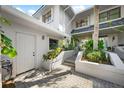 Inviting entrance with lush landscaping, creating a warm and welcoming curb appeal at 1661 Watermark Ne Cir # C, St Petersburg, FL 33702