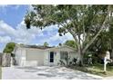Front view of a freshly painted house with a blue door and a large tree at 3245 Bigelow Dr Dr, Holiday, FL 34691