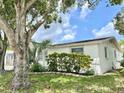 Side view of a single story home with mature landscaping and a large tree at 3245 Bigelow Dr Dr, Holiday, FL 34691