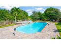 Sparkling pool and spa surrounded by lush landscaping, offering a private backyard oasis at 6419 Marbella Blvd, Apollo Beach, FL 33572