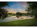 Sunset view over a lake with lush vegetation at 2083 Hillwood Dr, Clearwater, FL 33763