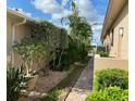 Landscaped backyard with a paved walkway and lush tropical plants at 132 Peckham Se St, Port Charlotte, FL 33952