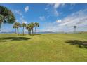 Landscaped backyard with lush green grass and palm trees overlooking the water at 50 Coe Rd # 224, Belleair, FL 33756