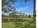 Vacant lot with green grass and mature trees in background at 34735 Double Eagle Ct, Zephyrhills, FL 33541