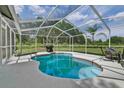 Relaxing kidney-shaped pool with screened enclosure at 9733 Long Meadow Dr, Tampa, FL 33615