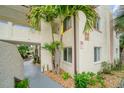 Exterior view of condo building showcasing landscaping and walkway at 2704 2Nd St # 7, Indian Rocks Beach, FL 33785