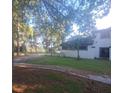 Spacious backyard with mature trees, green lawn, and view of a lake, offering serene outdoor living at 2400 Pine Hammock, Clearwater, FL 33764