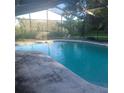 Screened-in pool with a view of lush greenery at 2400 Pine Hammock, Clearwater, FL 33764