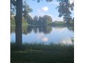 Serene lake view with tree-lined shores at 2400 Pine Hammock, Clearwater, FL 33764