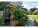 Private entrance with lush tropical plants at 2935 Lichen Ln # C, Clearwater, FL 33760