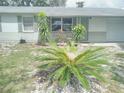 Landscaped front yard with mature plants at 3118 Palm Ct, Dunedin, FL 34698