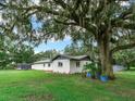 Ranch style home with a large tree and spacious yard at 7301 Pierce Harwell Rd, Plant City, FL 33565