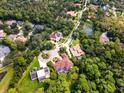 Community overview featuring various luxury homes and lush landscaping at 909 Shoals Landing Dr, Brandon, FL 33511