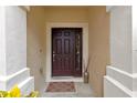 Dark brown front door with sidelight and welcome mat at 26607 Chimney Spire Ln, Wesley Chapel, FL 33544