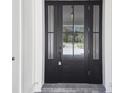 Black front door with glass panels and sidelights at 4817 Majestic Hills Loop, Brooksville, FL 34601
