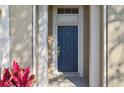 Charming home featuring a modern blue front door with gold hardware and neutral stucco walls at 26933 Carmen Pl, Lutz, FL 33559