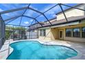 Inviting screened-in pool with a spacious patio at 19462 Paddock View Dr, Tampa, FL 33647