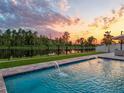 Beautiful backyard pool with fountain features and lush landscaping overlooking the wooded preserve at 11828 Ranchers Gap Dr, Odessa, FL 33556
