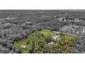 Aerial view of property showcasing a pond and expansive land at 655 Appaloosa Rd, Tarpon Springs, FL 34688